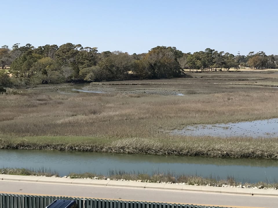 Marsh view from deck 