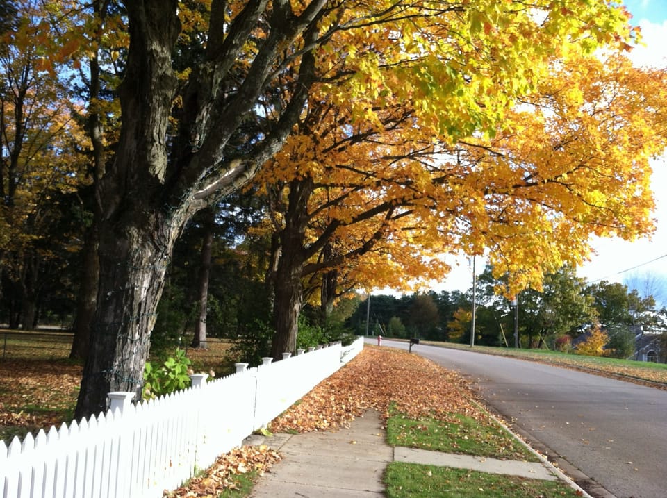 Charlevoix is known for its beautiful fall colors.