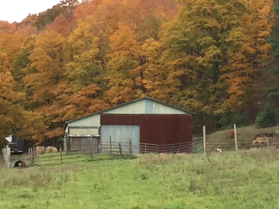 Fall colors and farms on nearby country roads