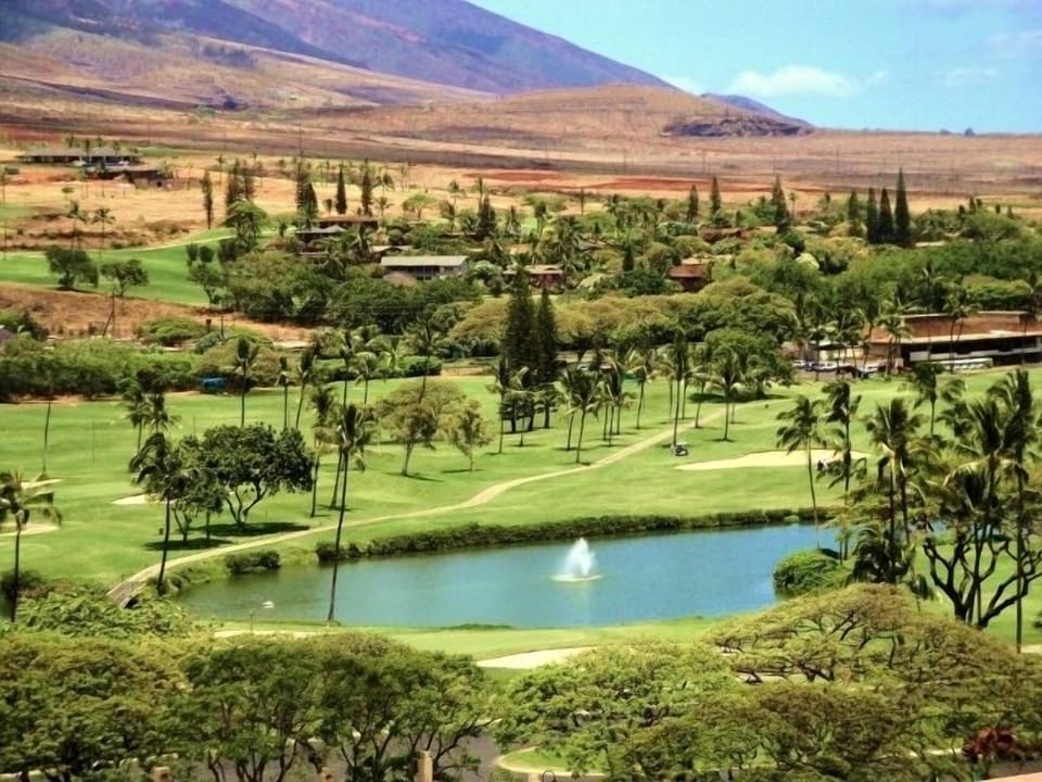 Golf coarse near by~