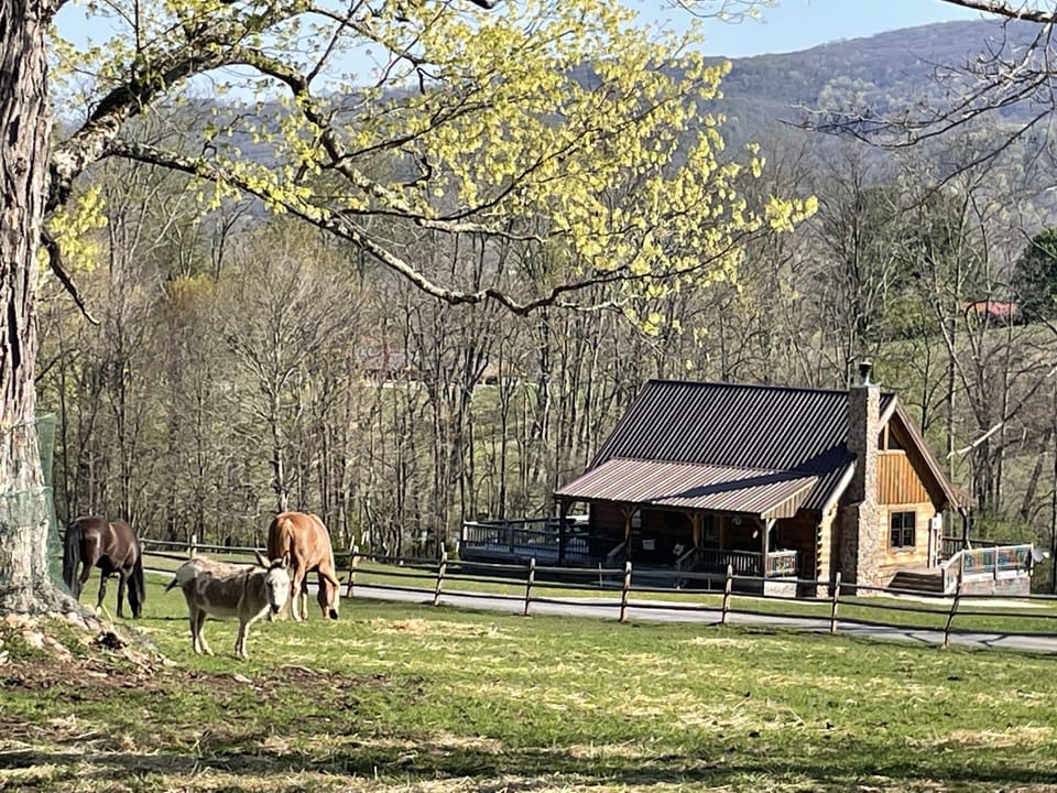 Morning Glory cabin across from Horse farm!