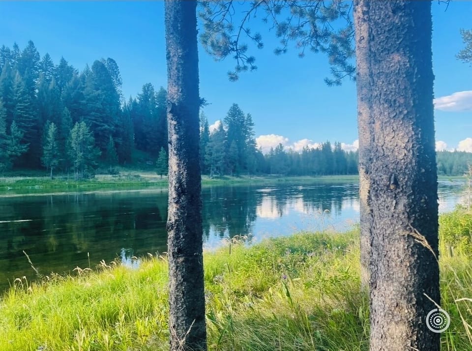 Riverfront cabin property