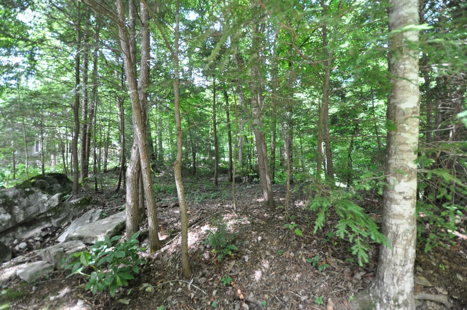Surrounded by boulders!