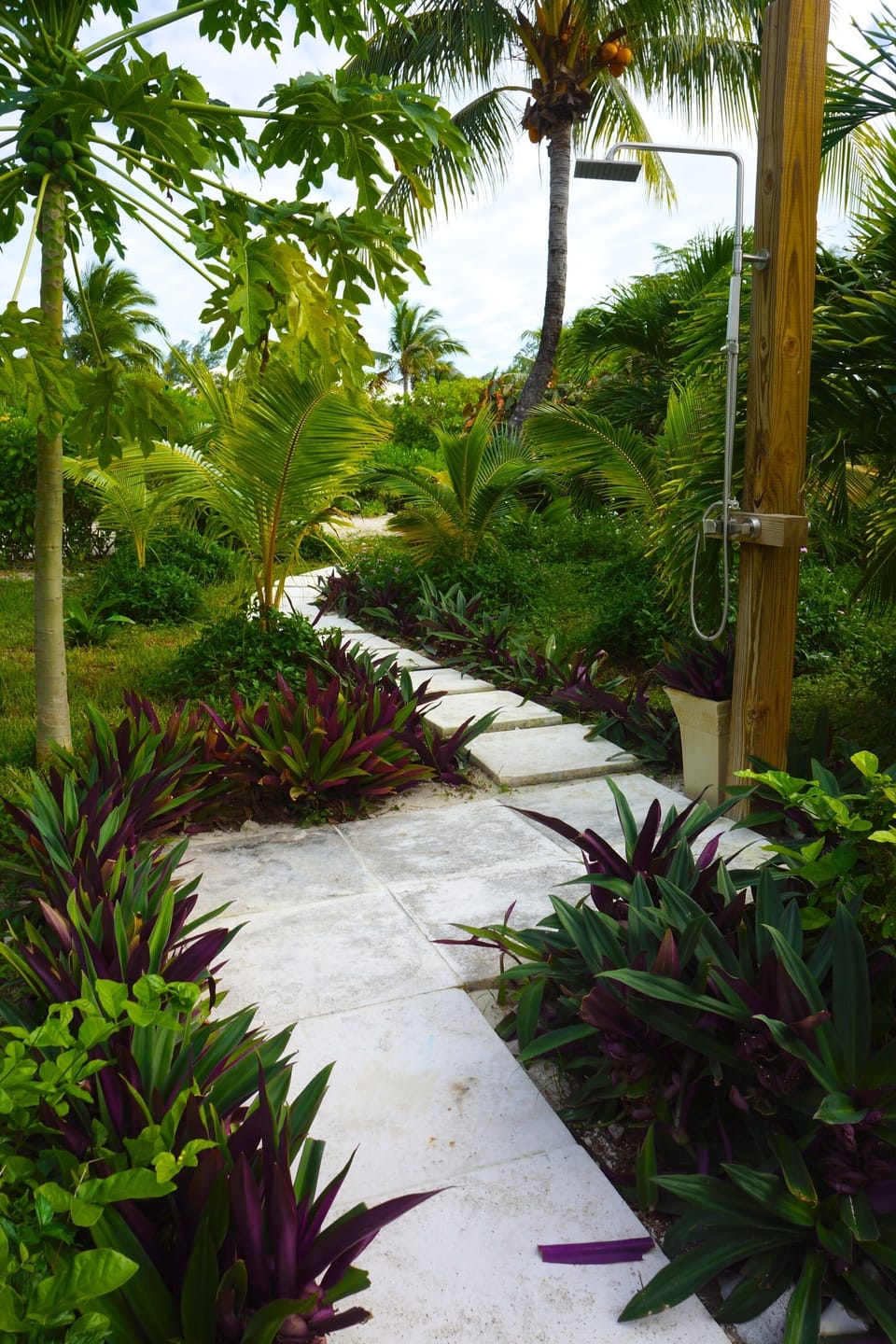 Private outdoor shower and path to the pool from front gate