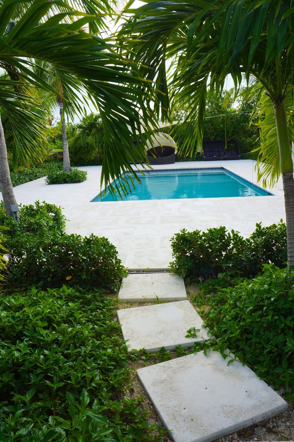 Private pool garden