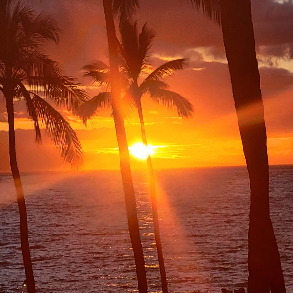 Beautiful Sunset