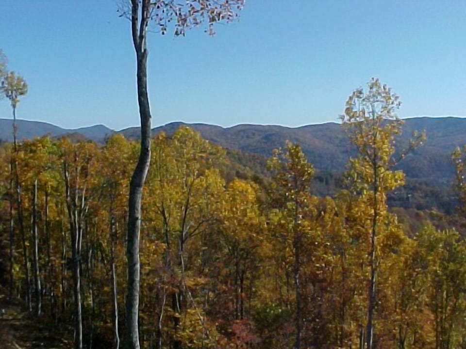 Fall color in the mountains.