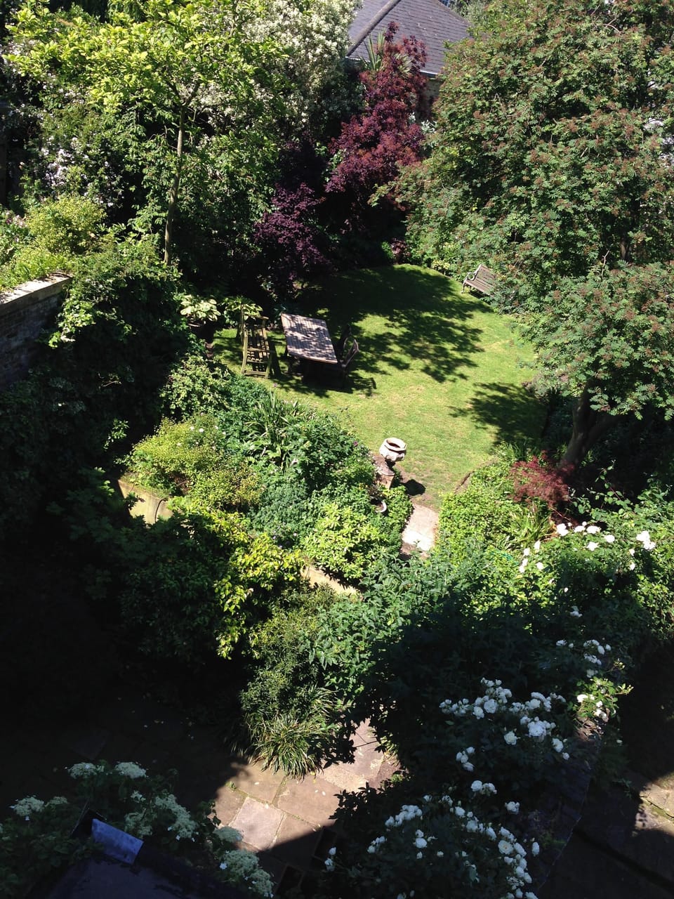 View of the garden from the sitting room