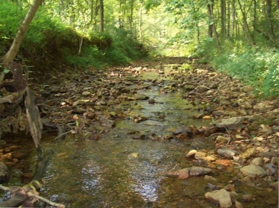 Explore the many Creeks that run through-out the property