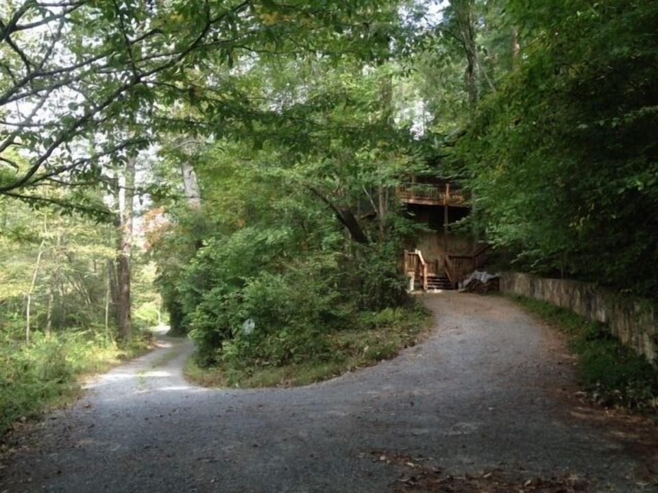 A view facing the lane (on the left) by the house and driveway (right). 