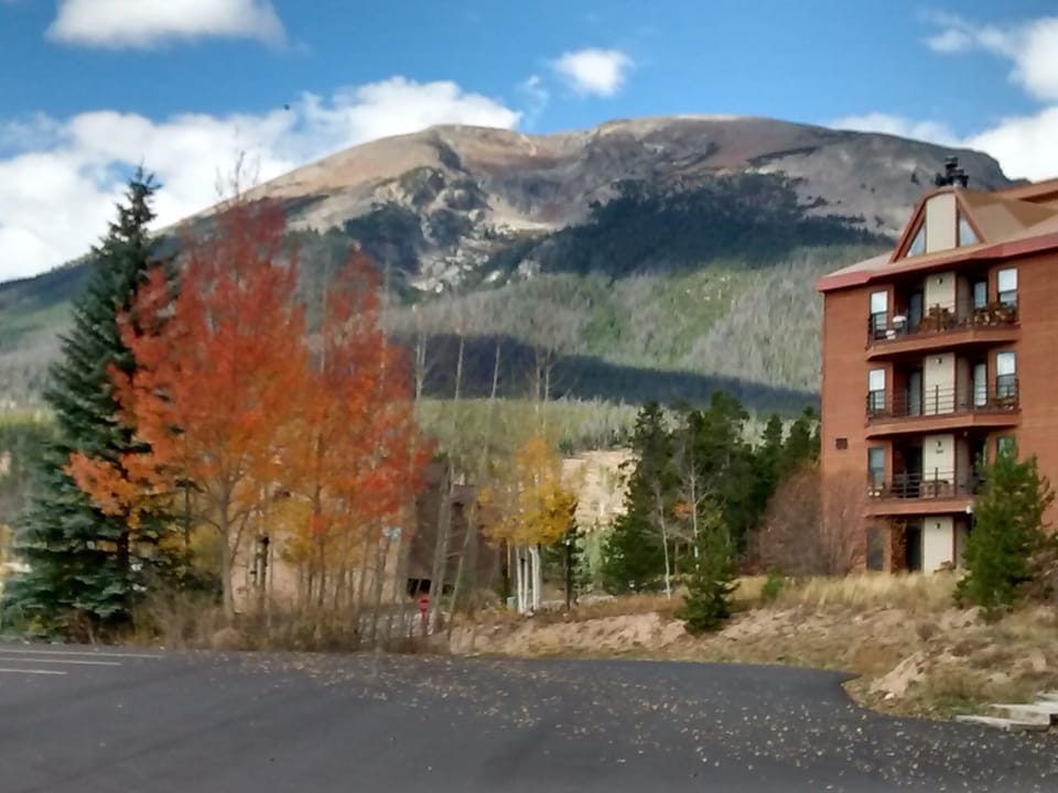 Autumn View of Buffalo Mountain 