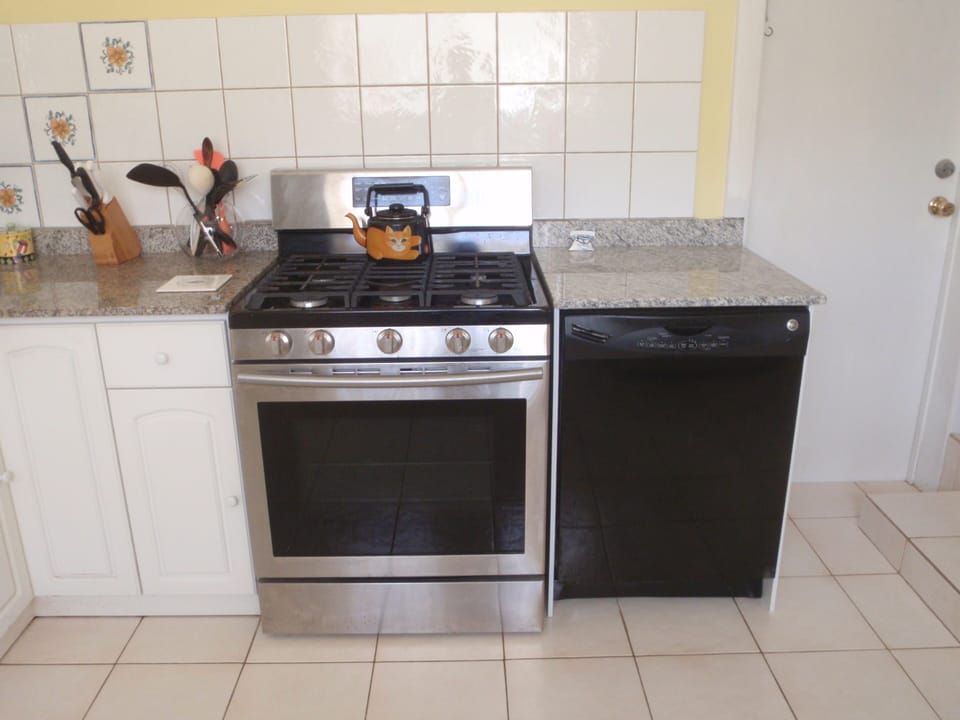 Stainless  Gas Stove and a dishwasher.. Most Aruban homes do not  them