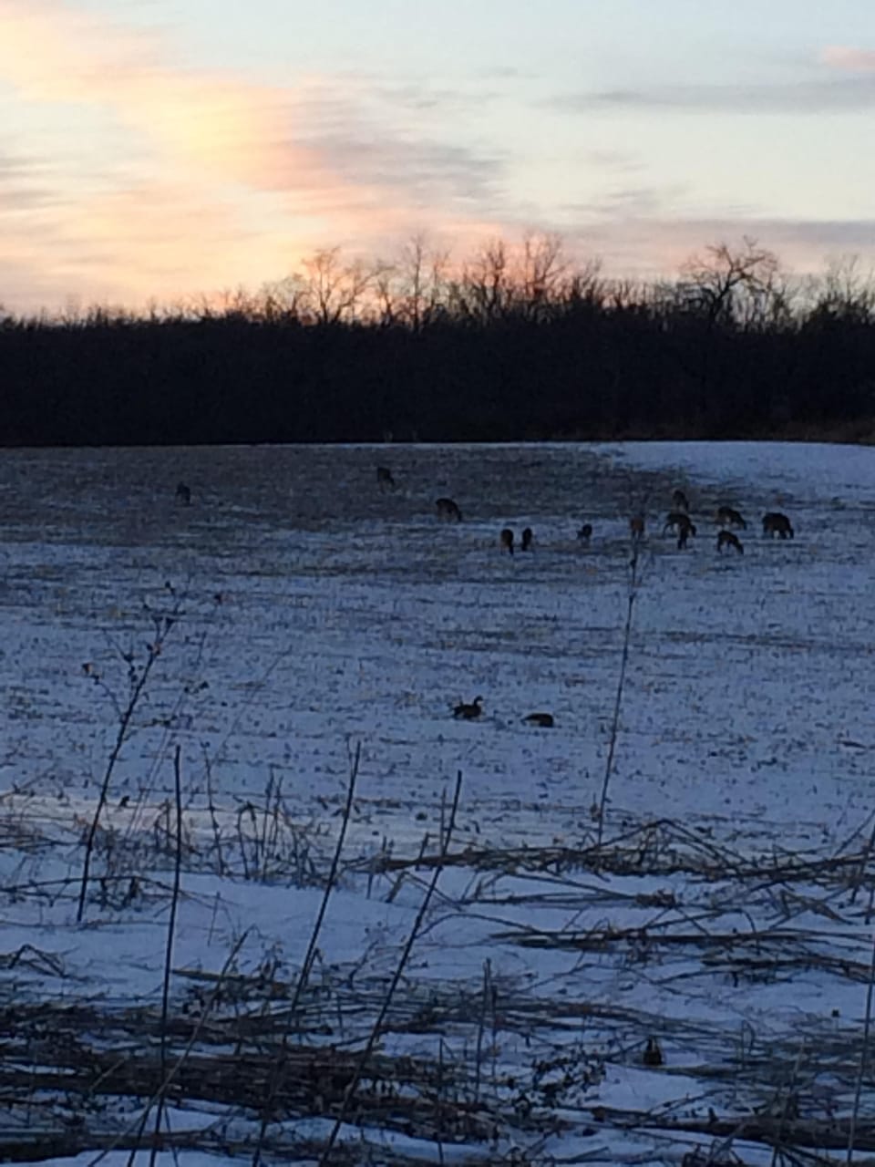 Ten minutes from downtown but feels remote