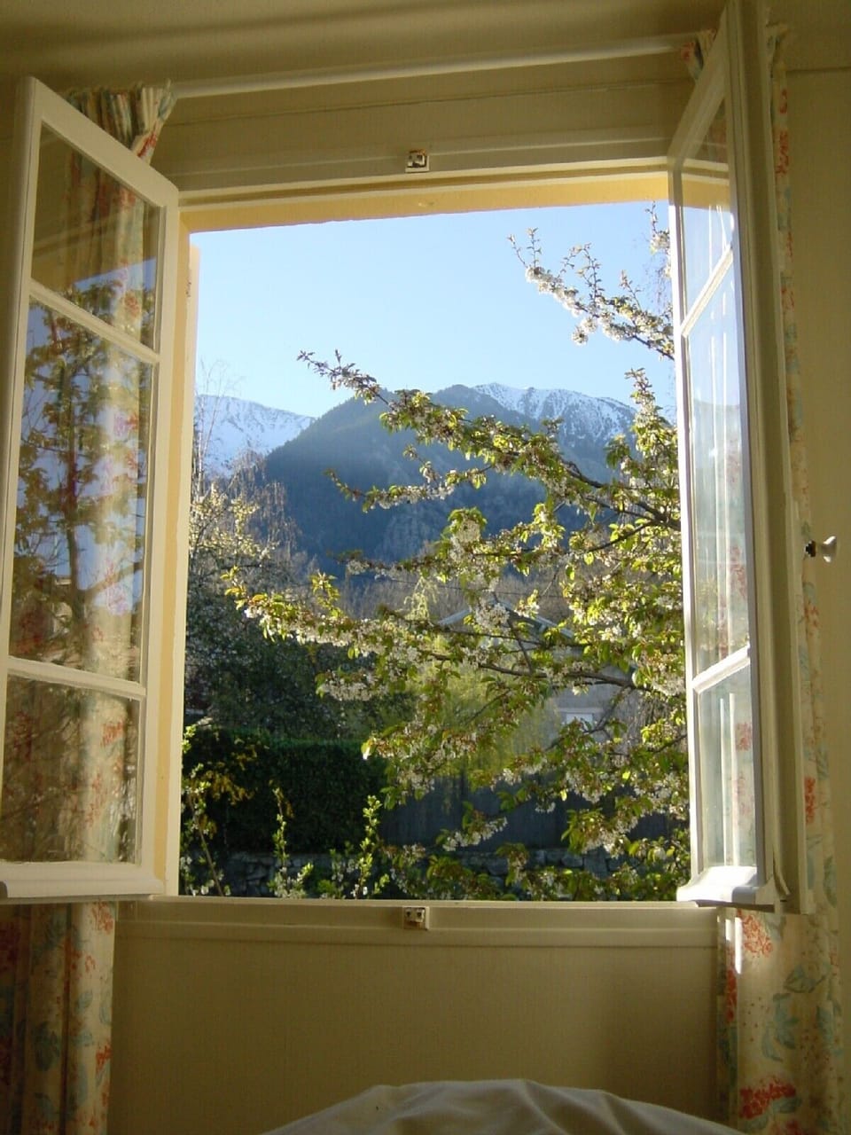 View from the window