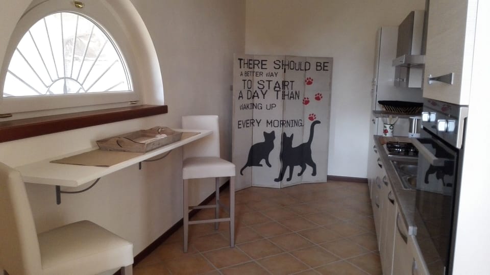the kitchen
