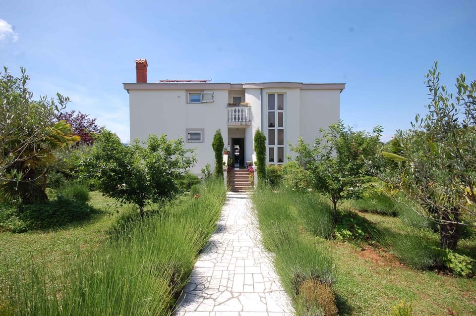 external view
