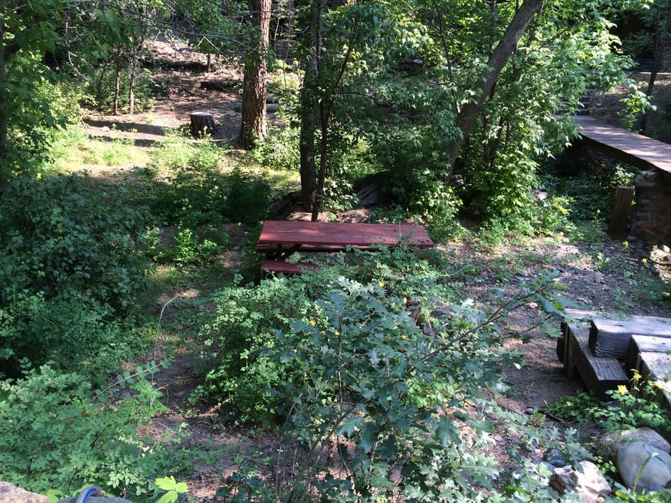 Creek Area