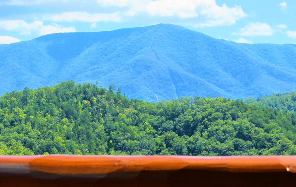View Of The National Park