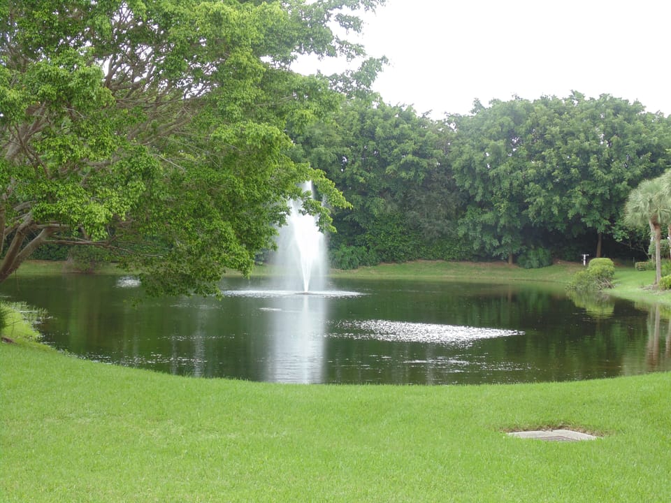 View of our little lake from the community pool a few steps from our condo