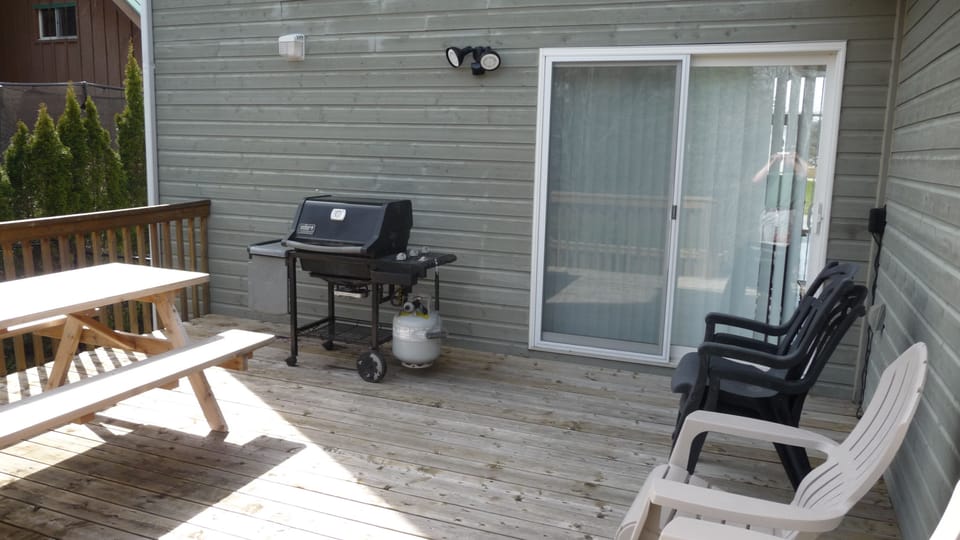 Back deck area with Webber bbq and seating