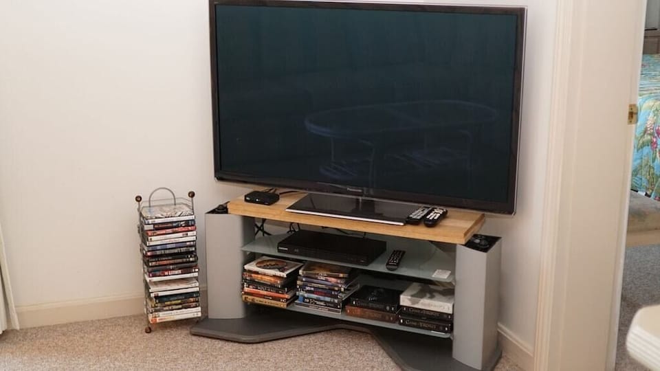 50" Panasonic Plasma HD TV, Blue Ray DVD, lots of movies provided, Netflix 