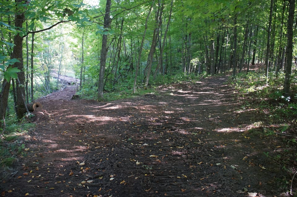 Fun Wooded Trails by Creek and to Lake