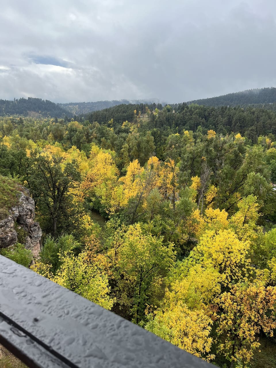 Fall view from deck