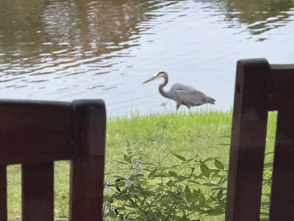 View from property