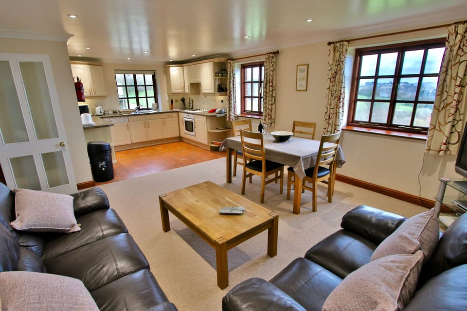 open plan lounge kitchen dinner