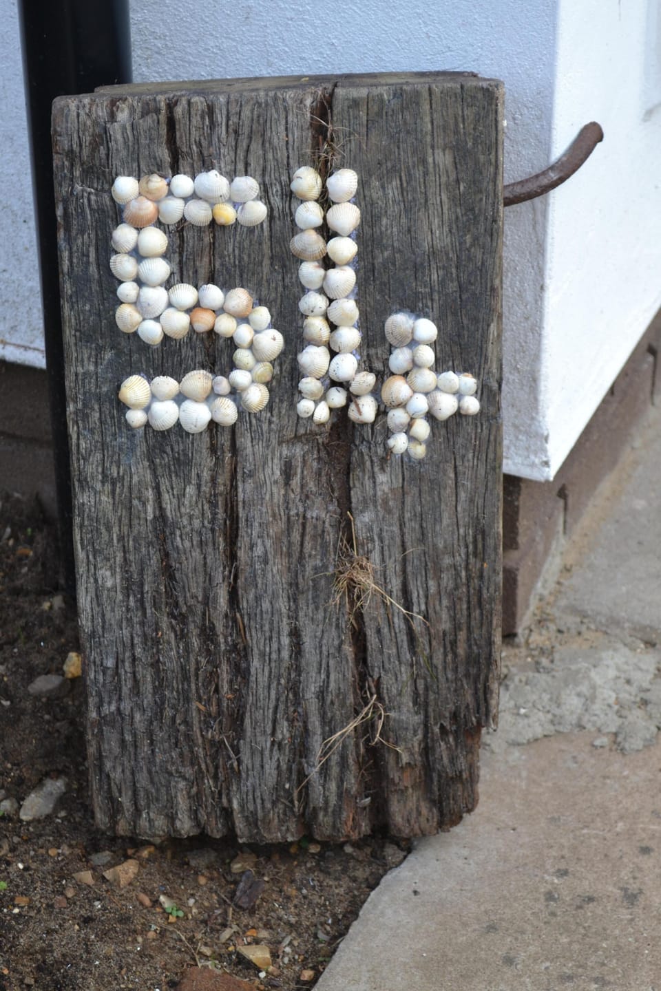 The Seashells