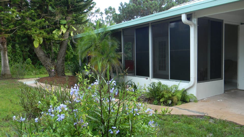 Rear garden surrounded by tall Mexican Sunflowers and tropical plants.