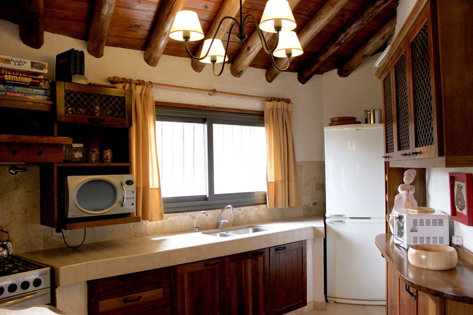 Main cabin kitchen