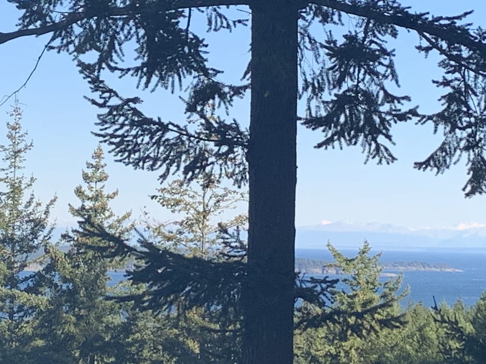 view looking north from the deck