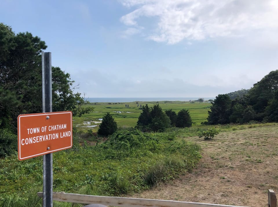 Forest Beach lookout, conservation land