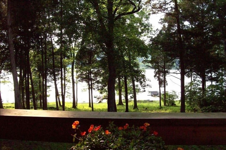 Norris Lake view from deck-early summer-our dock on left.