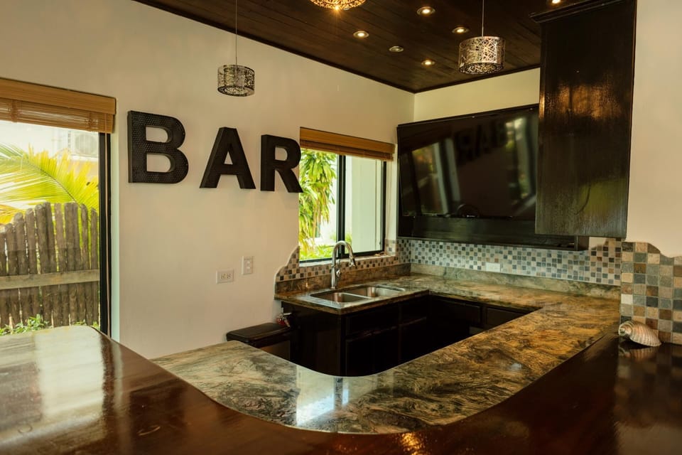 Game room - wet bar, kitchenette, and TV.