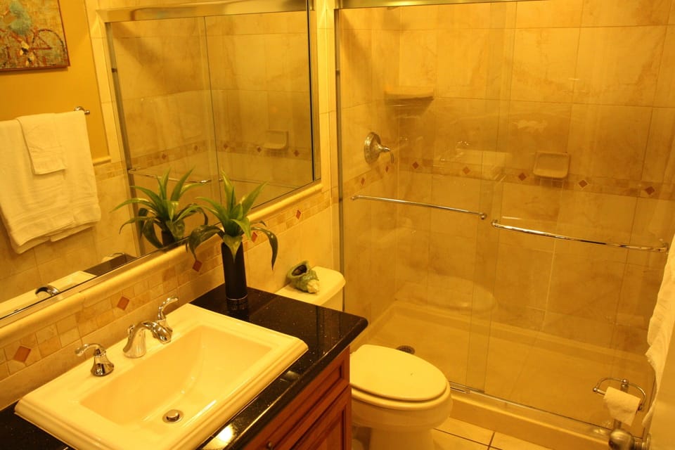 Master Bath.  Granite. Glass shower doors.
