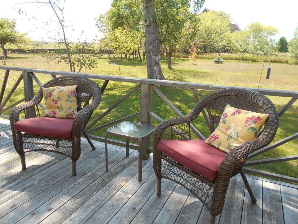 View of the backyard from the veranda.