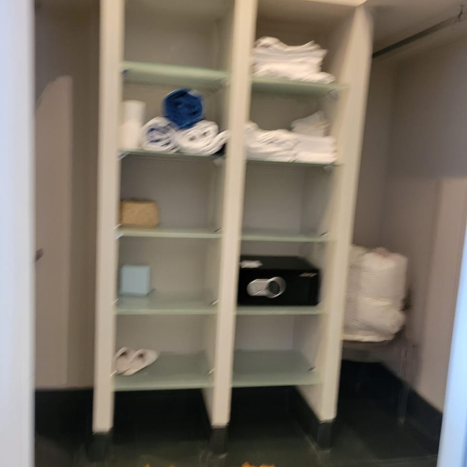 Huge walk in closet with safe