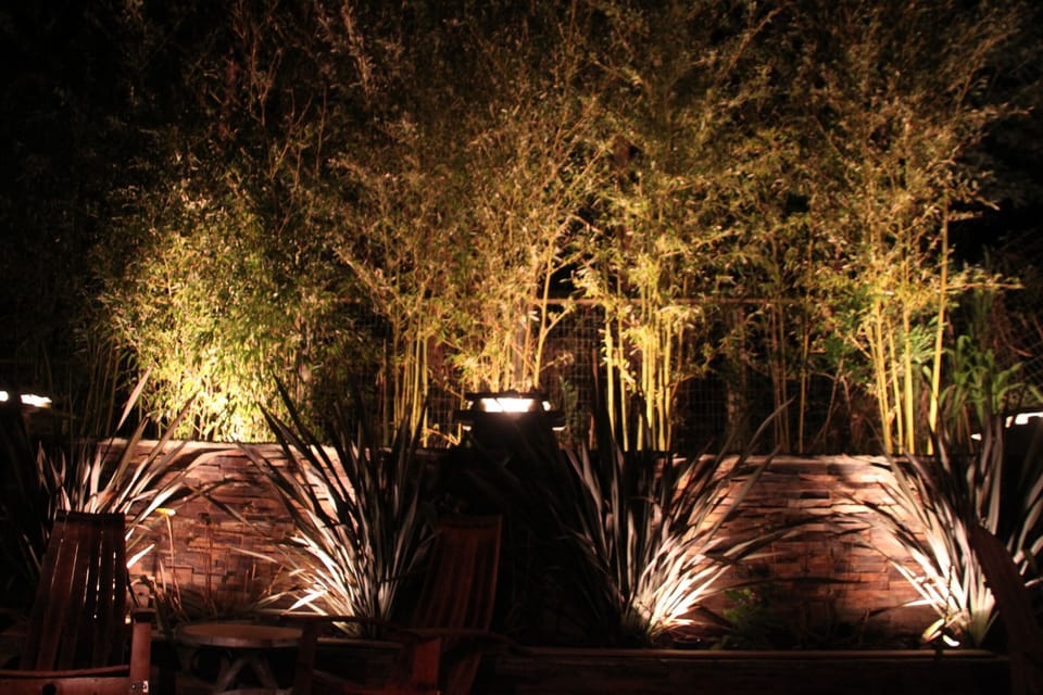 Bamboo Hedge at night on the back deck next to the outdoor stone fireplace.