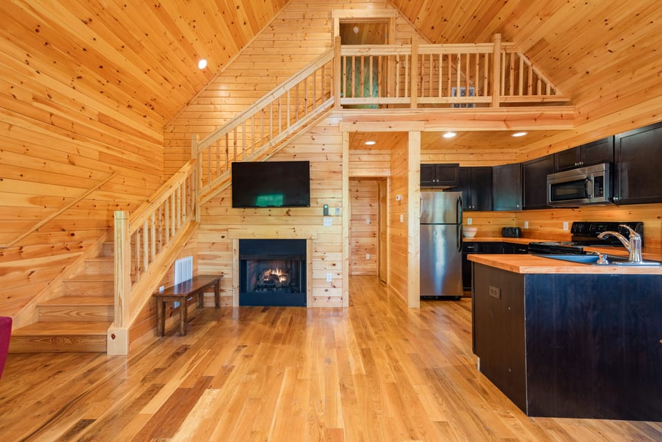 Dish TV and propane fireplace 
