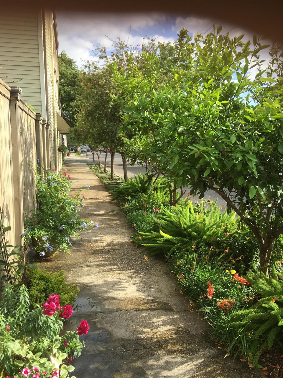 Walkway down Bordeaux, on way to Camp St.