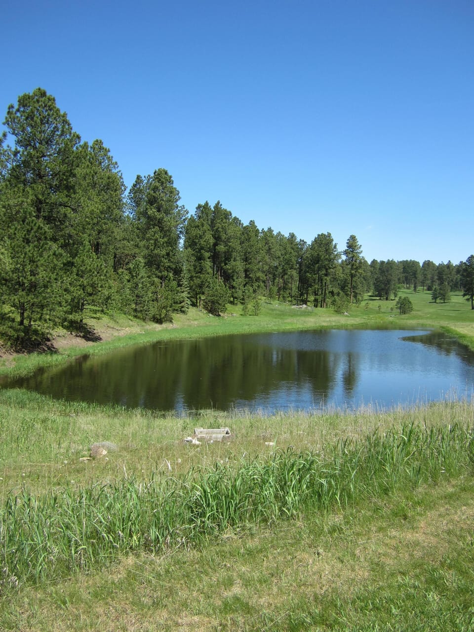 POND