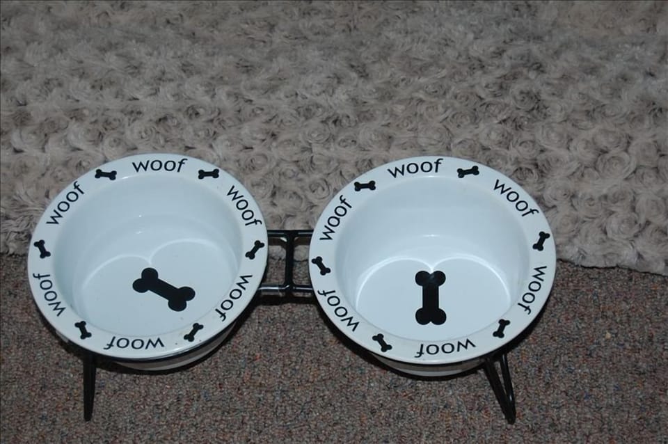 We are pet friendly!  Bring your four-legged friend to enjoy the mountains!