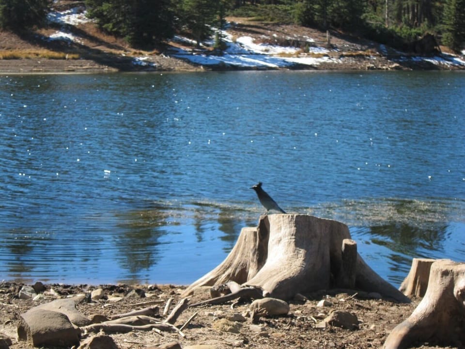 Lake Irwin is just 30 mins up Kebler Pass. Note: Kebler is CLOSED in winter.