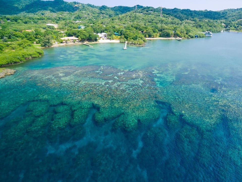 From an aerial view, Vivaro Roatan looks like a private island outpost. The drone perspective reveals just how close you are to the vibrant Mesoamerican Barrier Reef, the second-largest in the world.