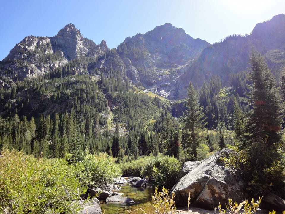 Venturing further up into a canyon - beauty everywhere.