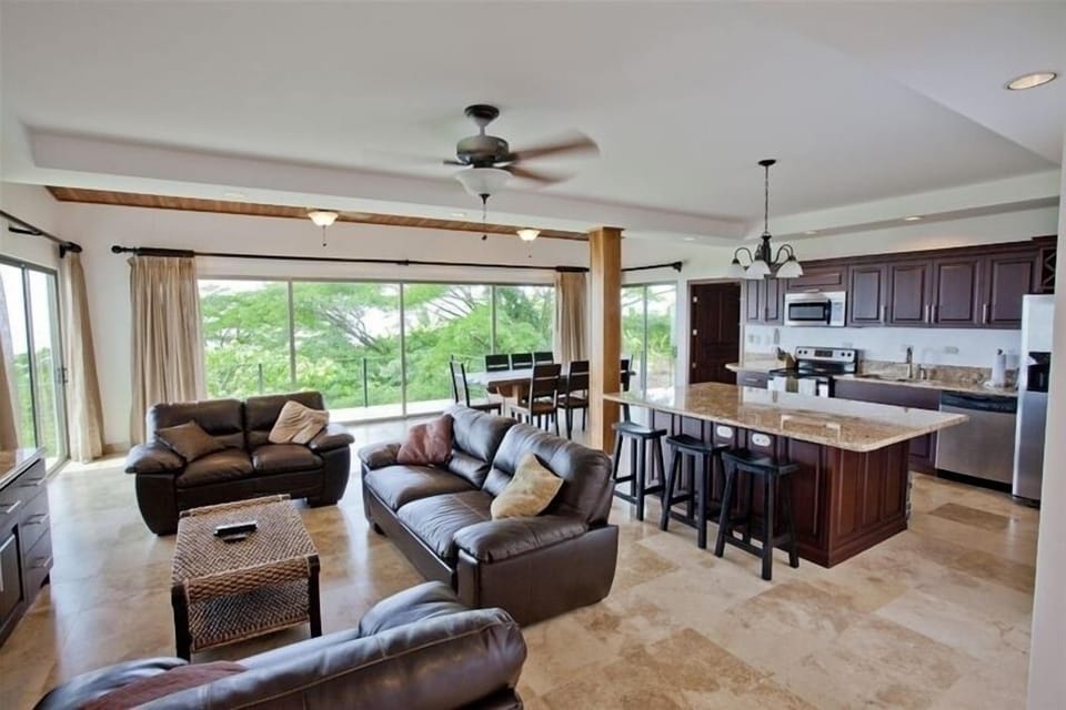 Penthouse kitchen and living area.