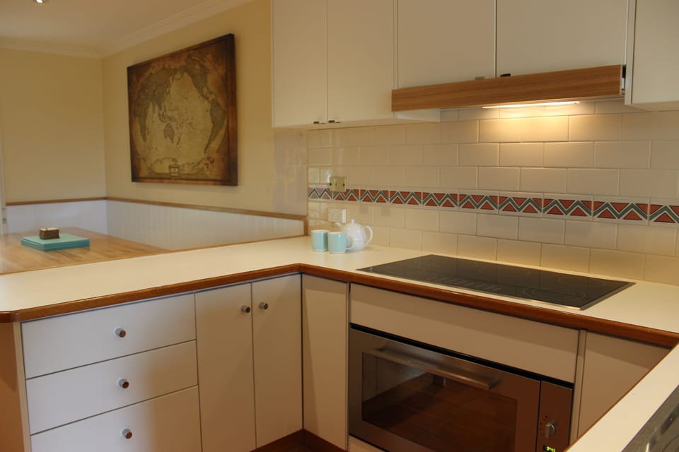 Large oven and 5 burner cook top