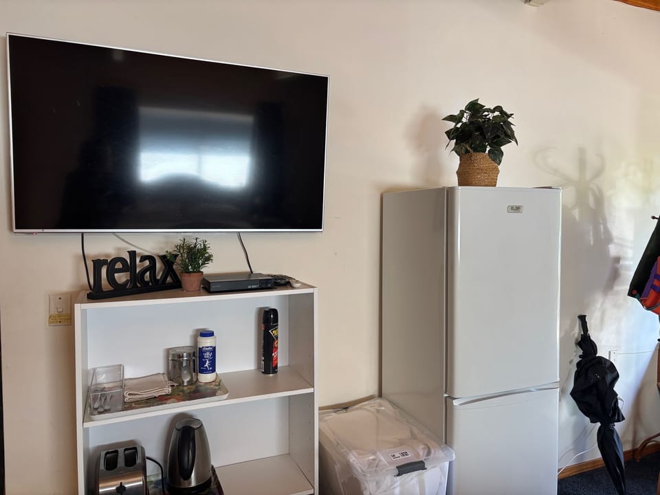 Downstairs TV and fridge, jug and toaster
